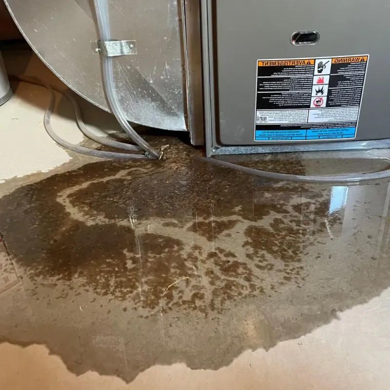 Pipe Burst and Leak Restoration in Orange, OH