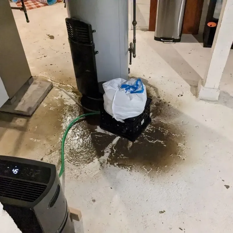 Sewage Backup Cleanup Service in Orange, OH